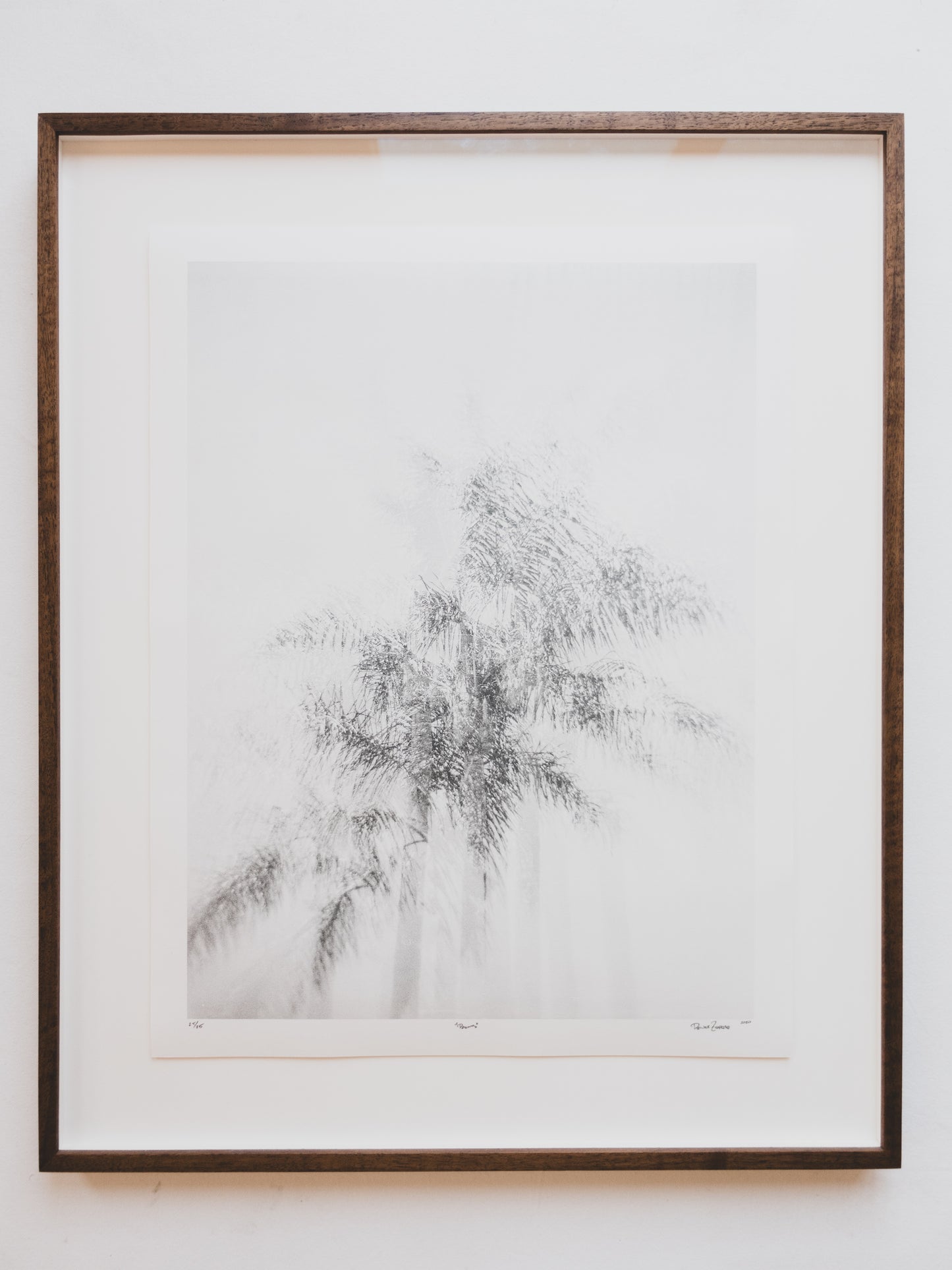 Fine Art Photography Print ( Palms )