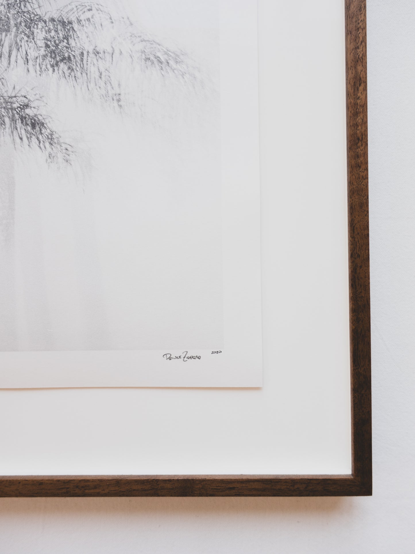 Fine Art Photography Print ( Palms )