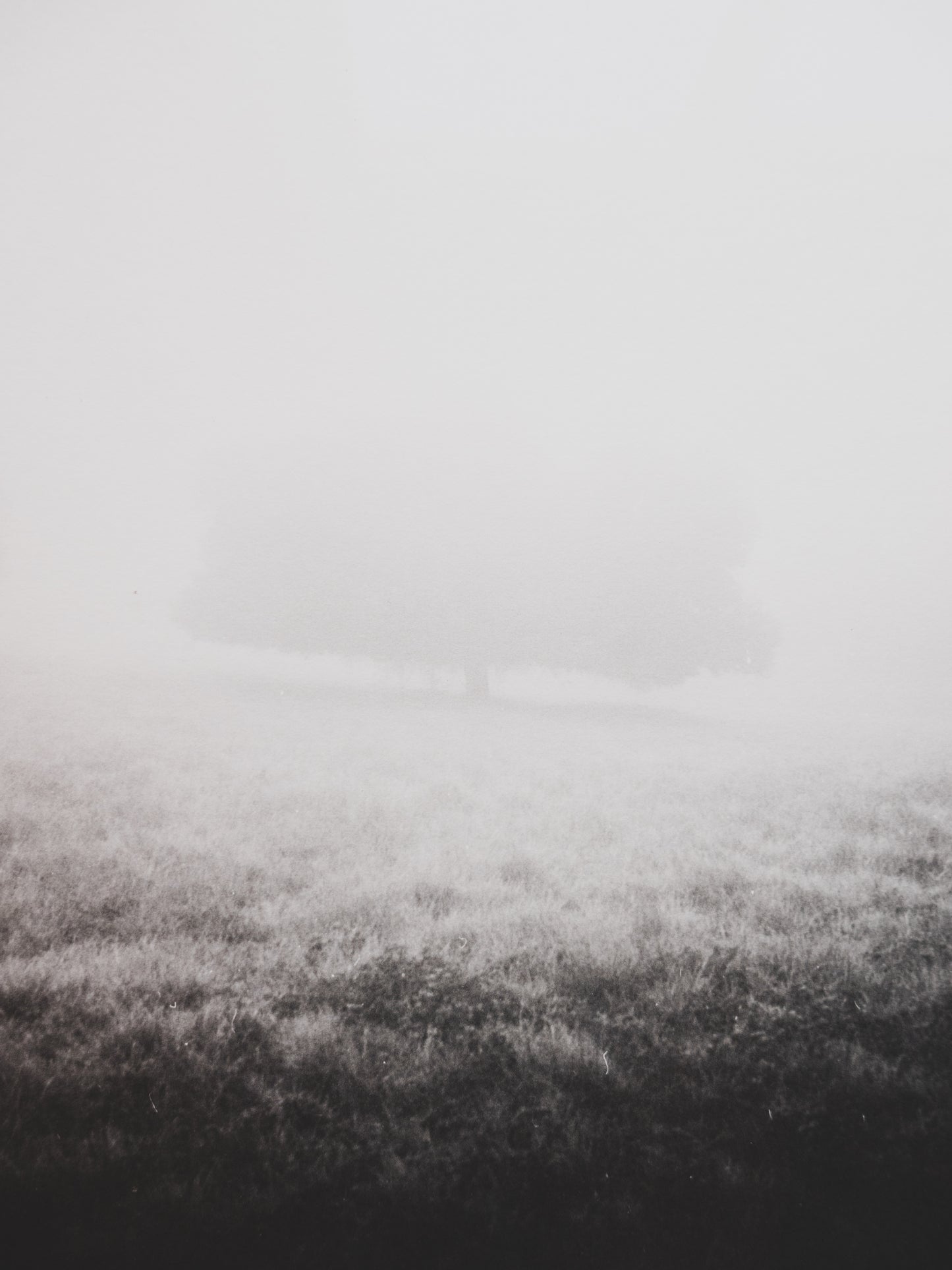 Fine Art Photography Print ( Stillness )