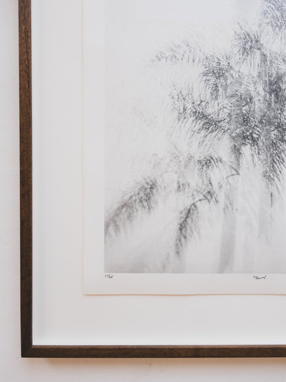 Fine Art Photography Print ( Palms )