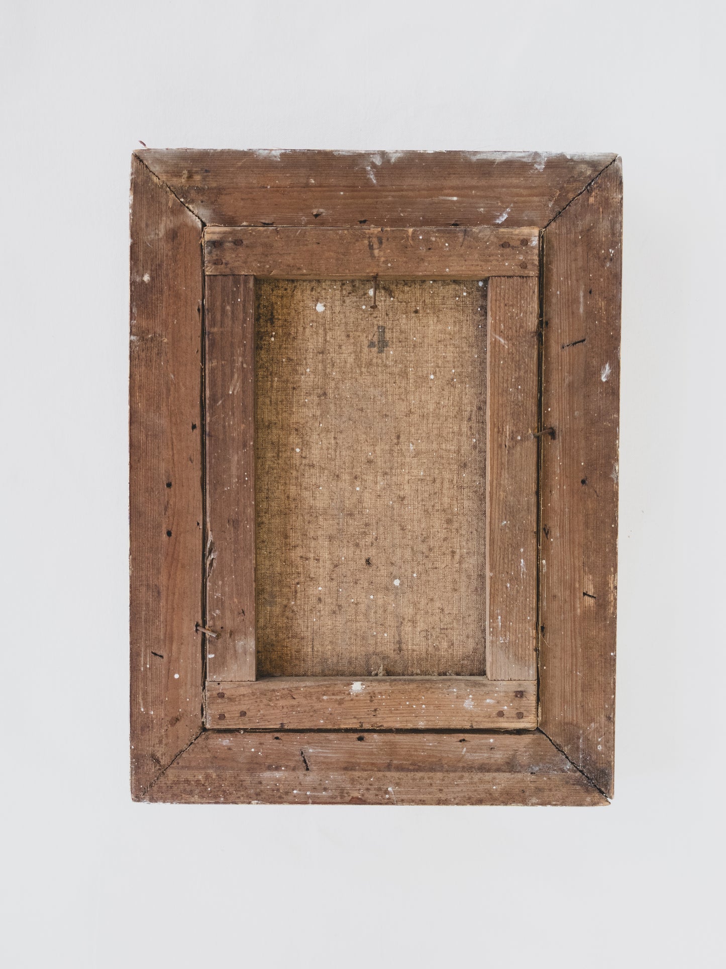 19th c. Botanical Still Life – Oil on Canvas