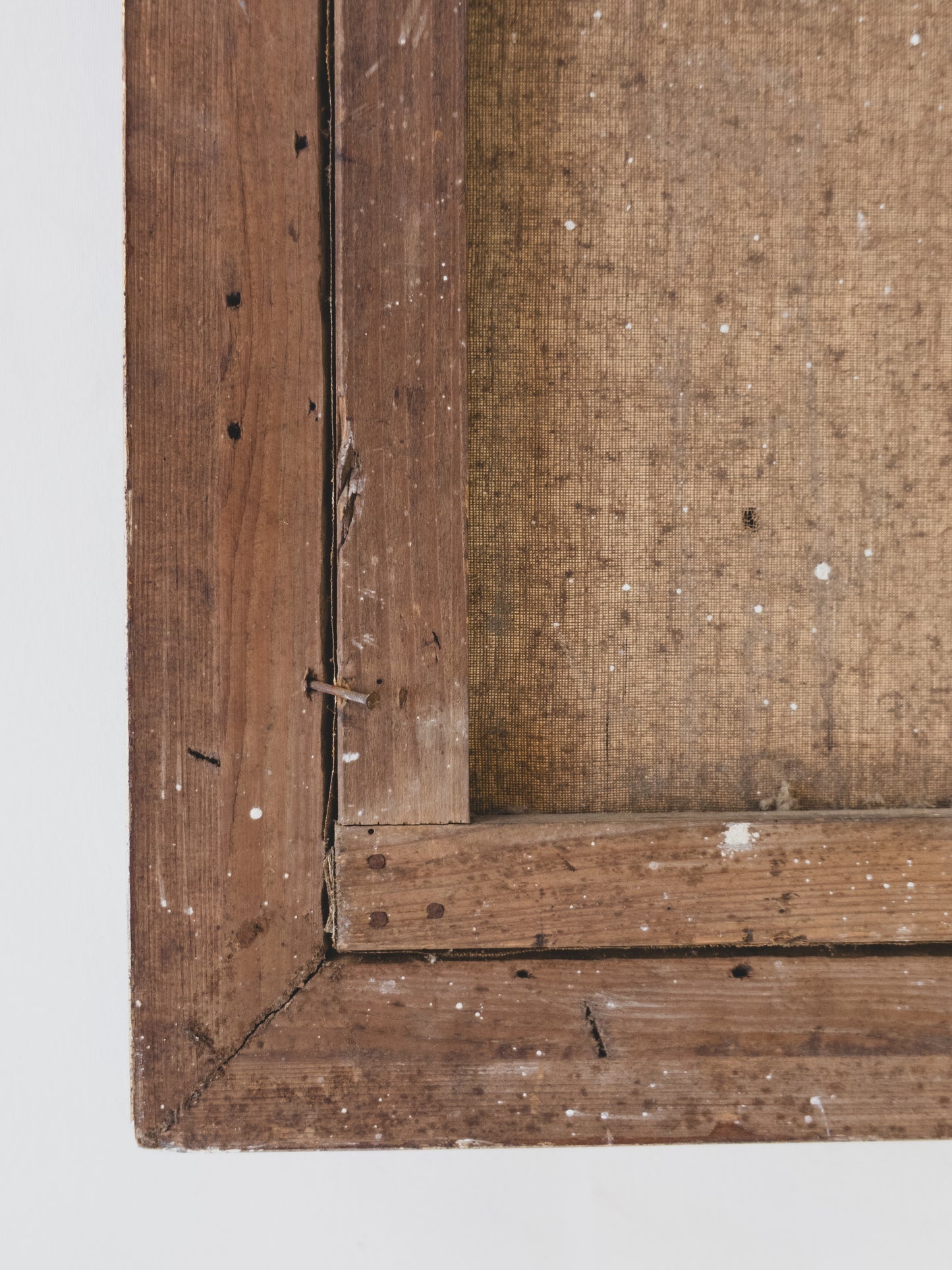 19th c. Botanical Still Life – Oil on Canvas