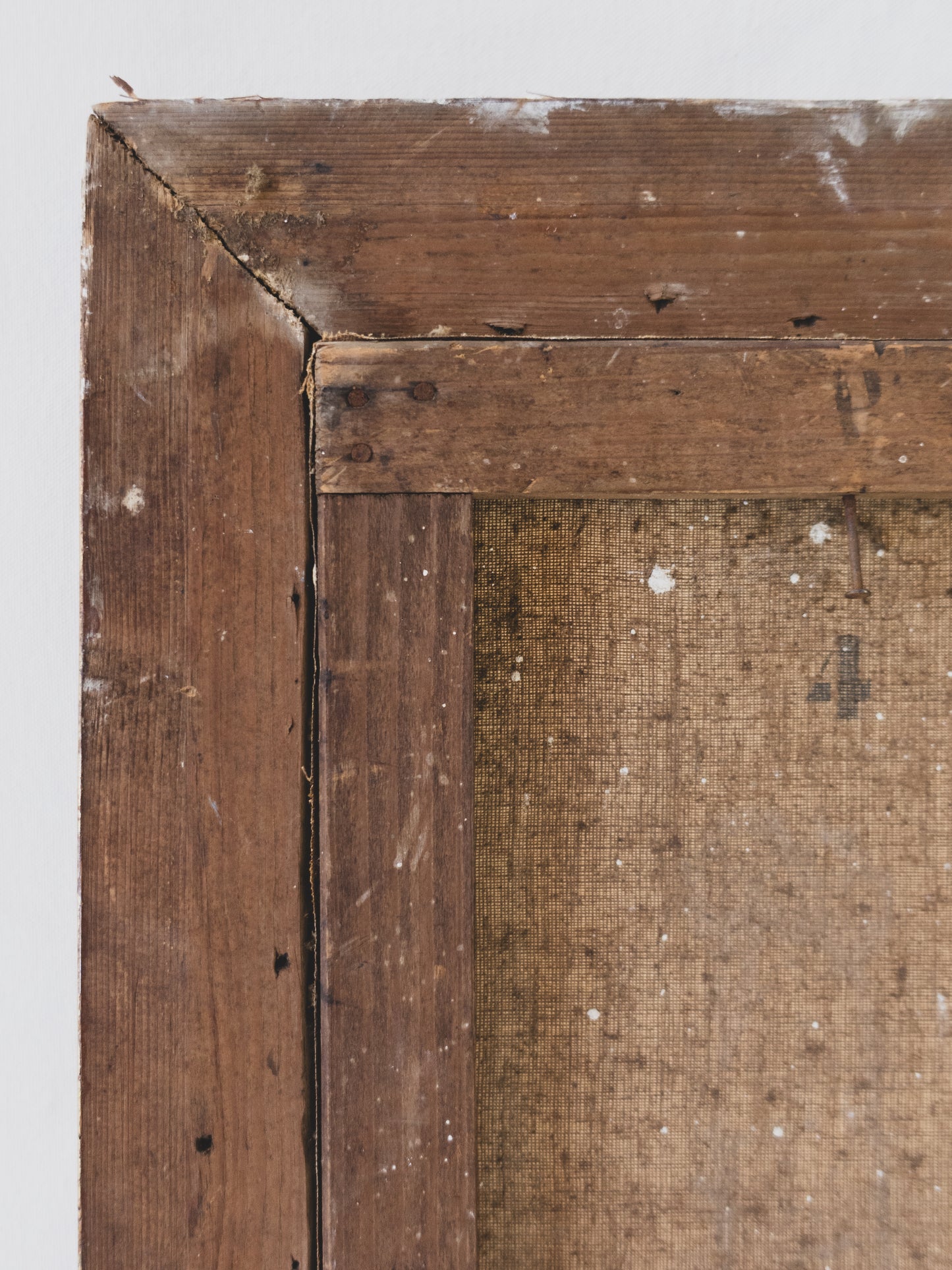 19th c. Botanical Still Life – Oil on Canvas