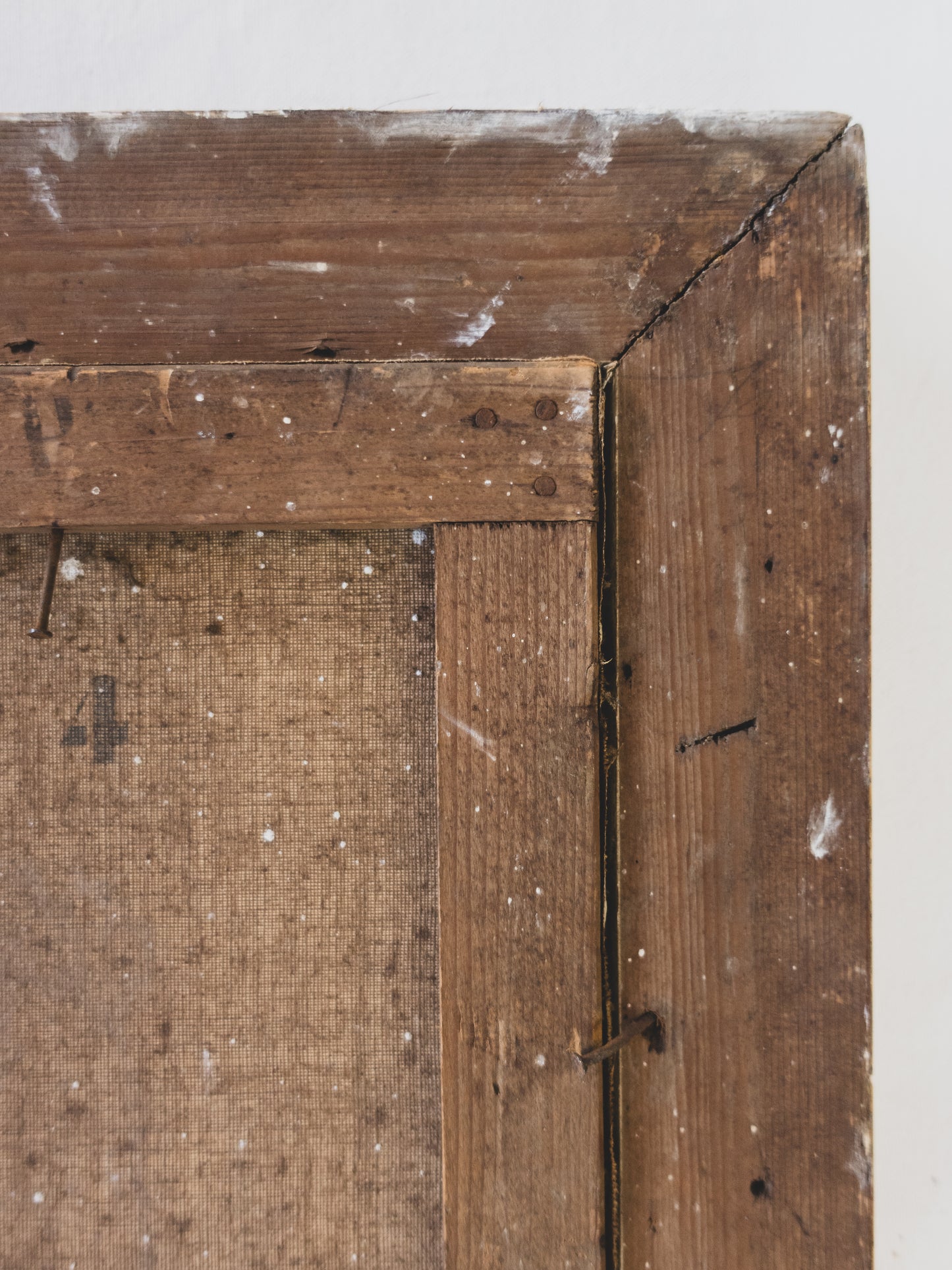 19th c. Botanical Still Life – Oil on Canvas