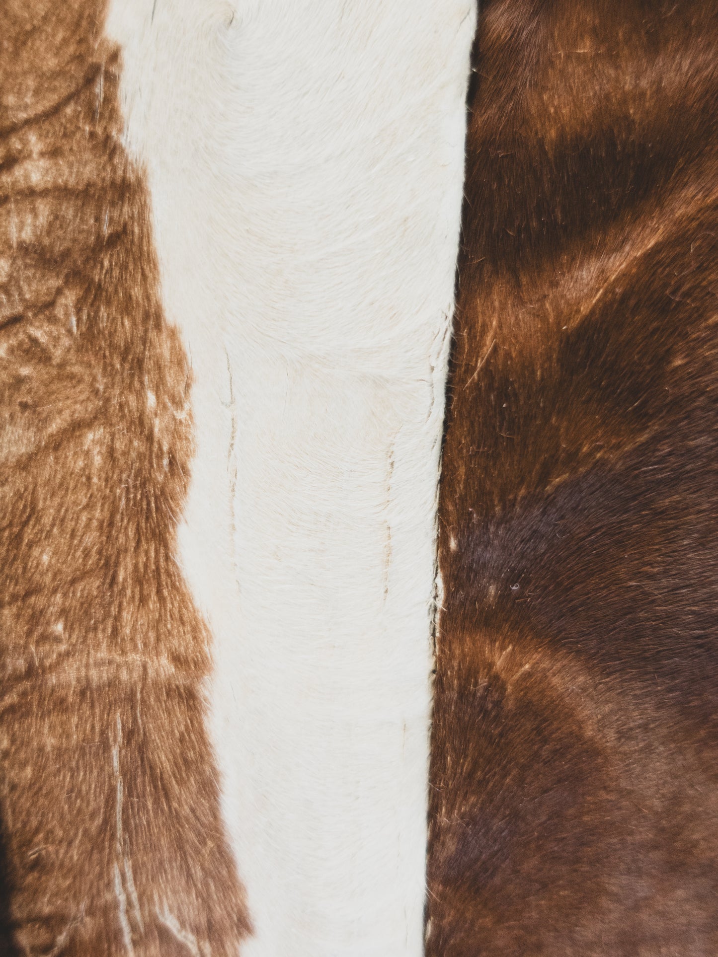 1930's Women’s Cowhide Cossack Jacket - S