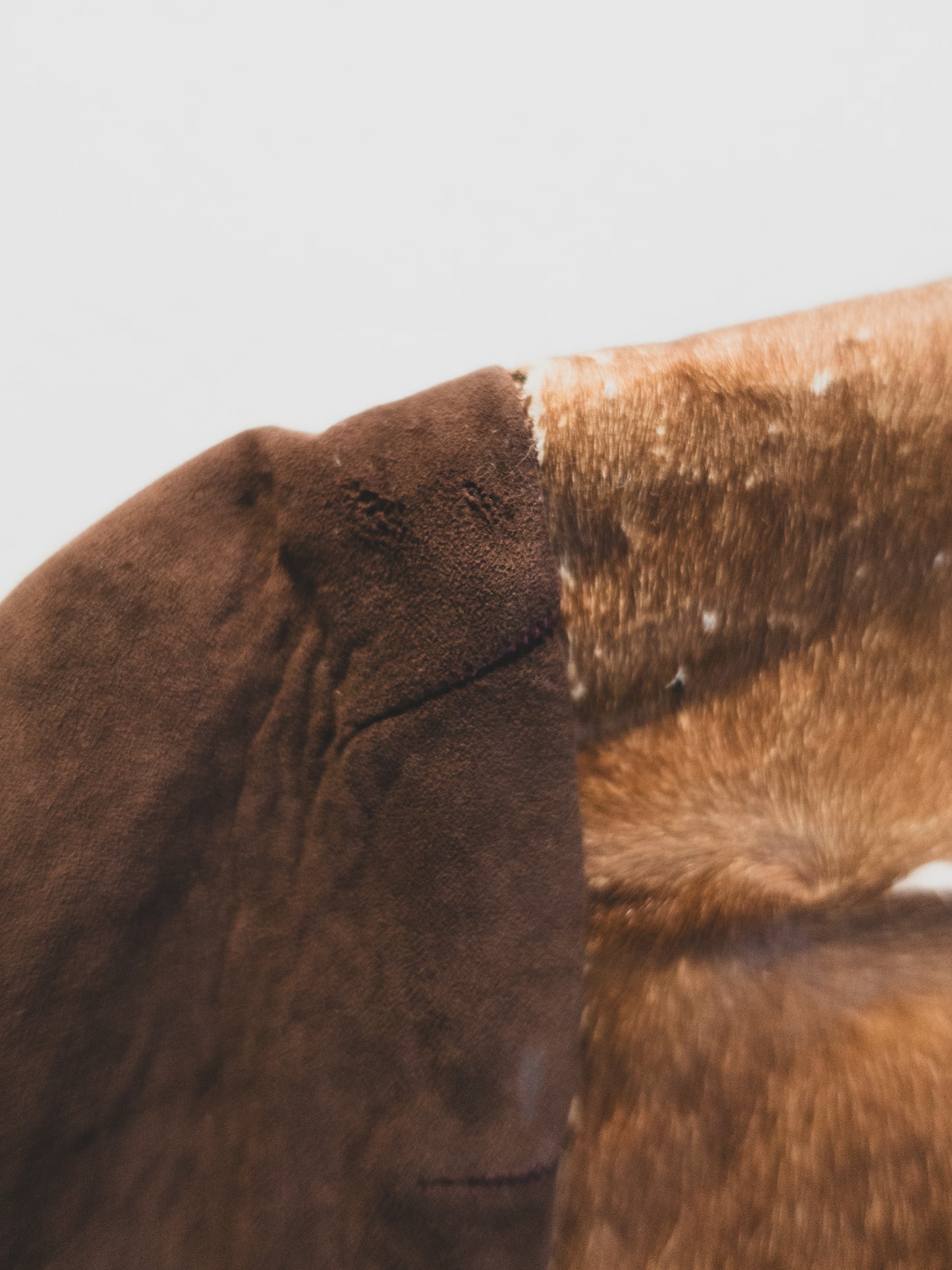 1930's Women’s Cowhide Cossack Jacket - S